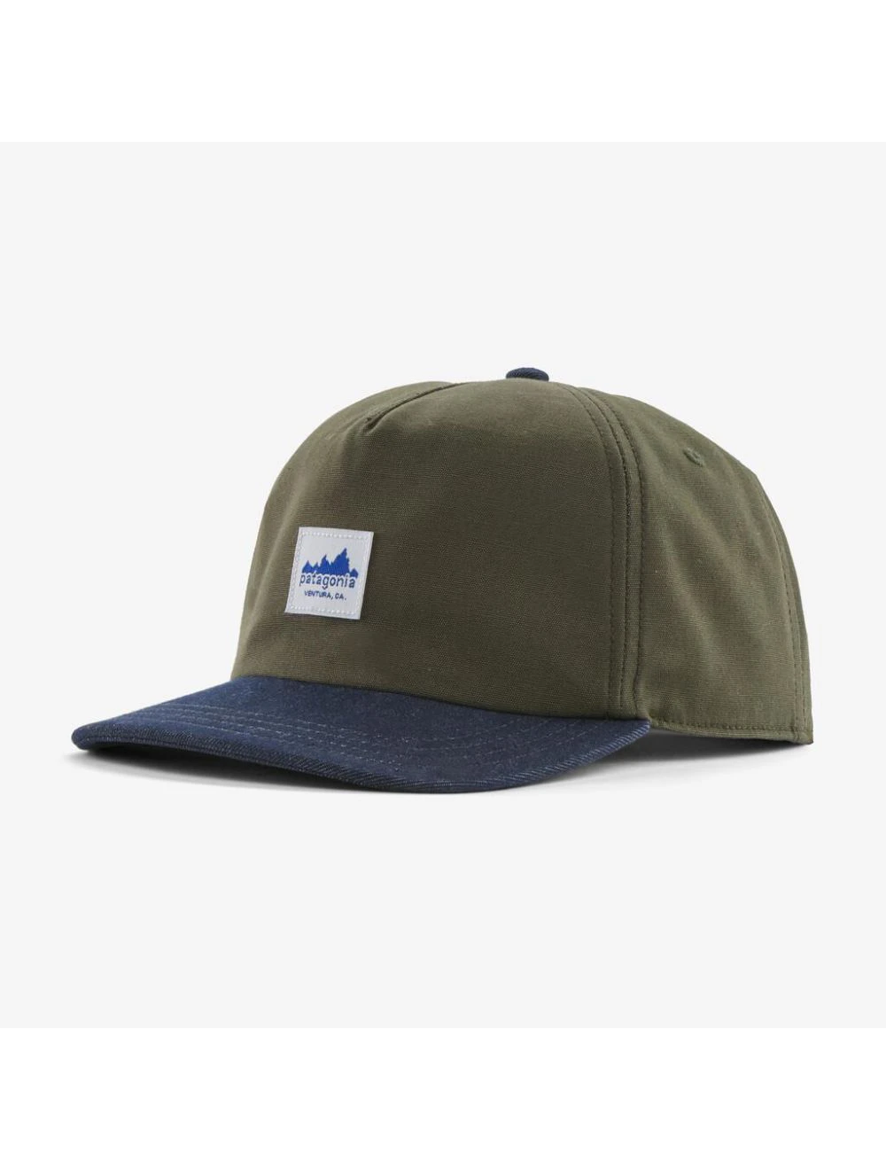 Patagonia Range Cap