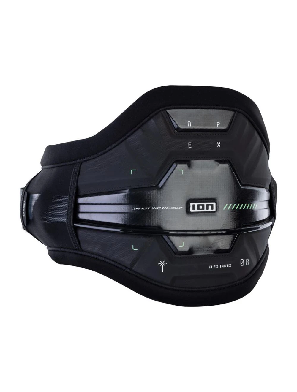 That is a Harness; Kitesurfing Harness ION Essentials Harness Waist Kite Apex  Black