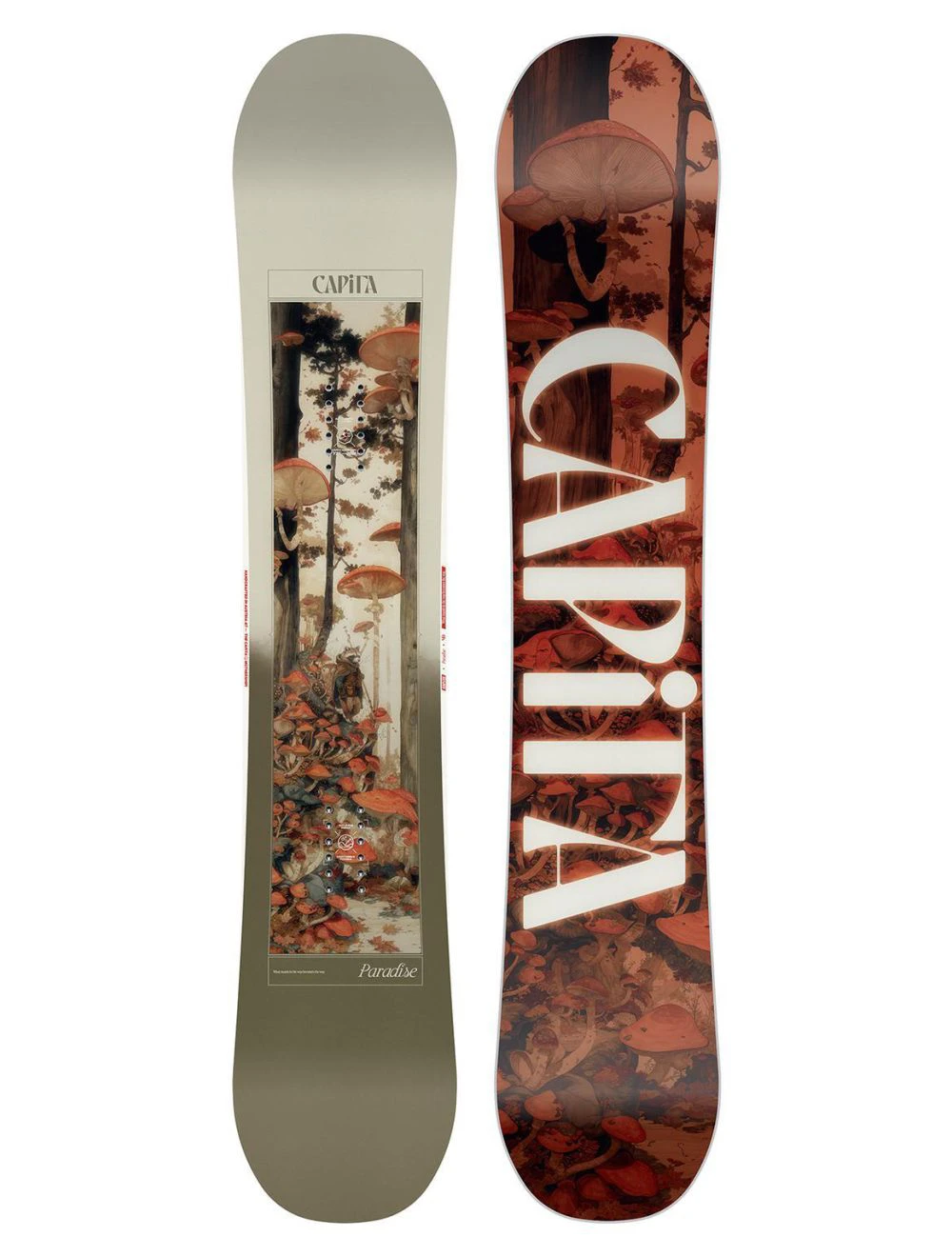 That is a Snowboard; Capita Paradise