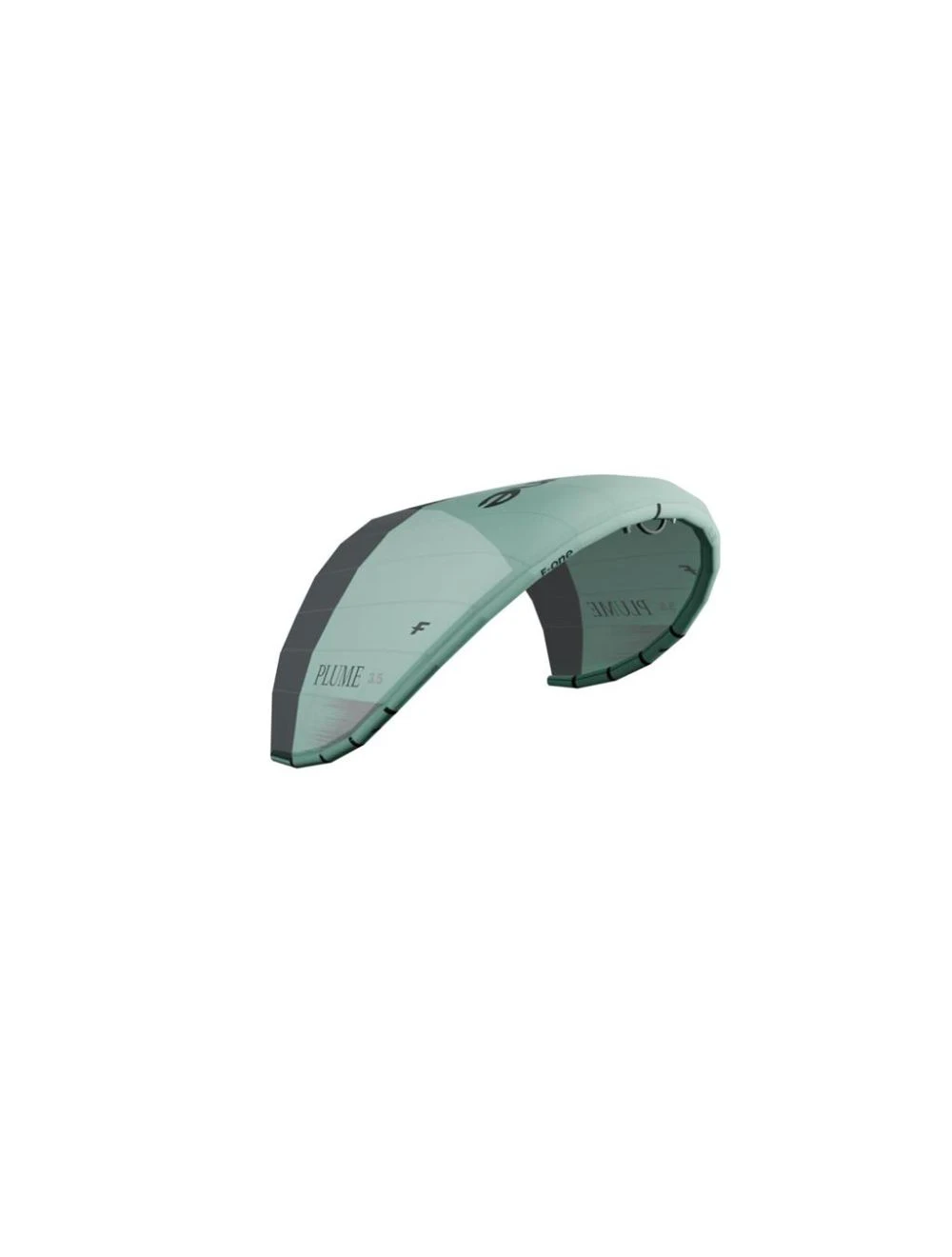 That is a Parawing; Lowkite F-one Plume Mint/Onyx Mint/Onyx