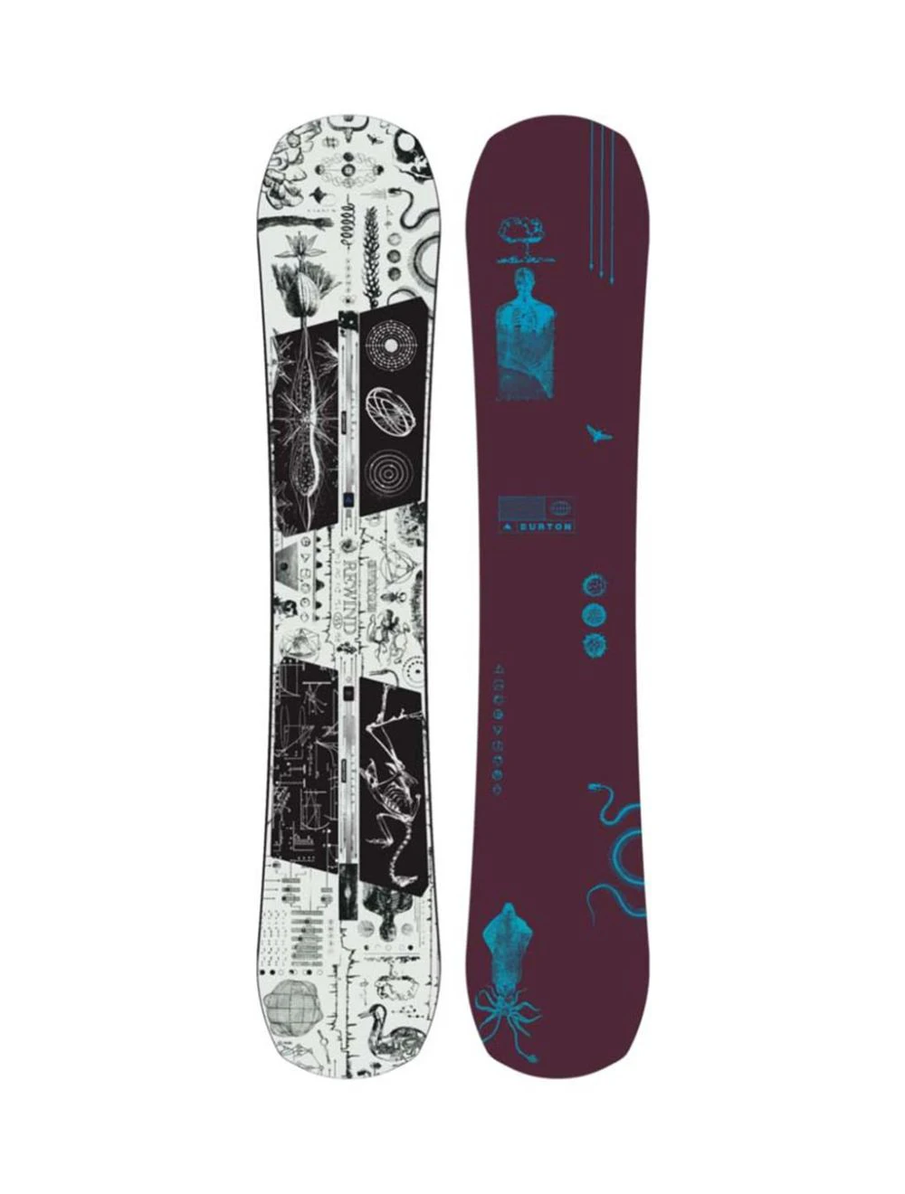 That is a Snowboard; Burton Rewind Camber 26/27