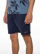 Protest CARVER jogging shorts