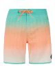That is a Boardshort; Surfshort Protest PRTChad wave green