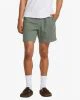 That is a Walkshort RVCA Sands Elastic (SLE) Sage Leaf