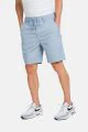That is a Pants Reell Reflex Easy Short ice blue