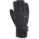 That is a DaKine Titan Gore-Tex Short Glove Black Black