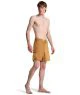 That is a Boardshort;Swimtrunks Billabong Ventura LT Spice Gold Spice Gold