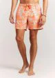 That is a Boardshort;Swimtrunks Protest PRTPanther beachshort Burnt Peach Burnt Peach