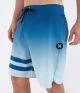 That is a Boardshort; Surfshort Hurley Phantom BP Degradee 18' Abyss Abyss