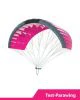 That is a Parawing; Lowkite Duotone Testwing Stash C15 Purple/Dark-Grey C15 Purple/Dark-Grey