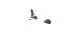 That is a Skibindings; Look Pivot 2.0 13 GW Black Metal