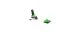 That is a Skibindings; Look Pivot 2.0 15 GW Super Green